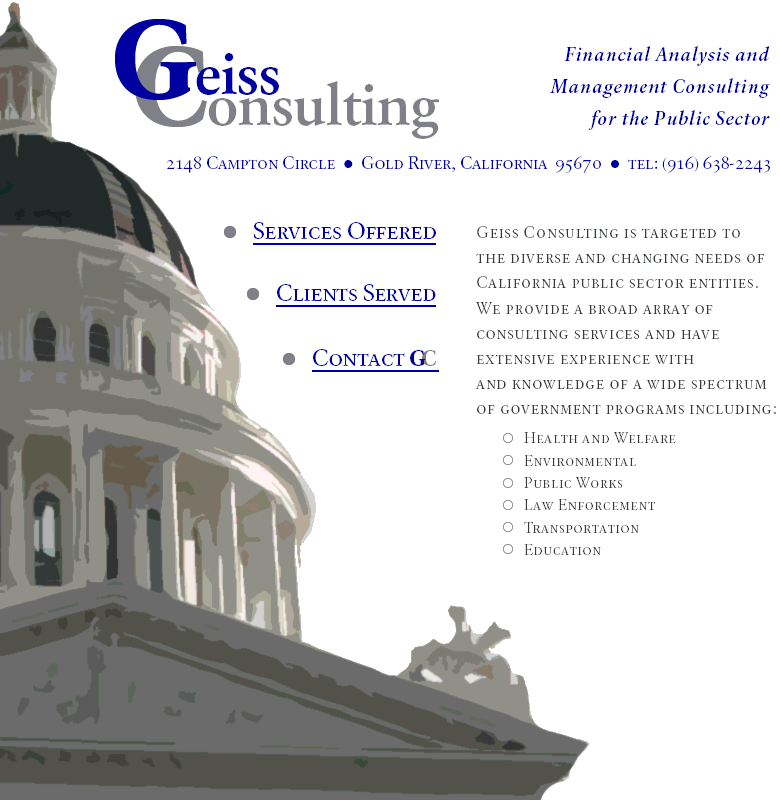 Financial Analysis and Management Consulting for the Public Sector